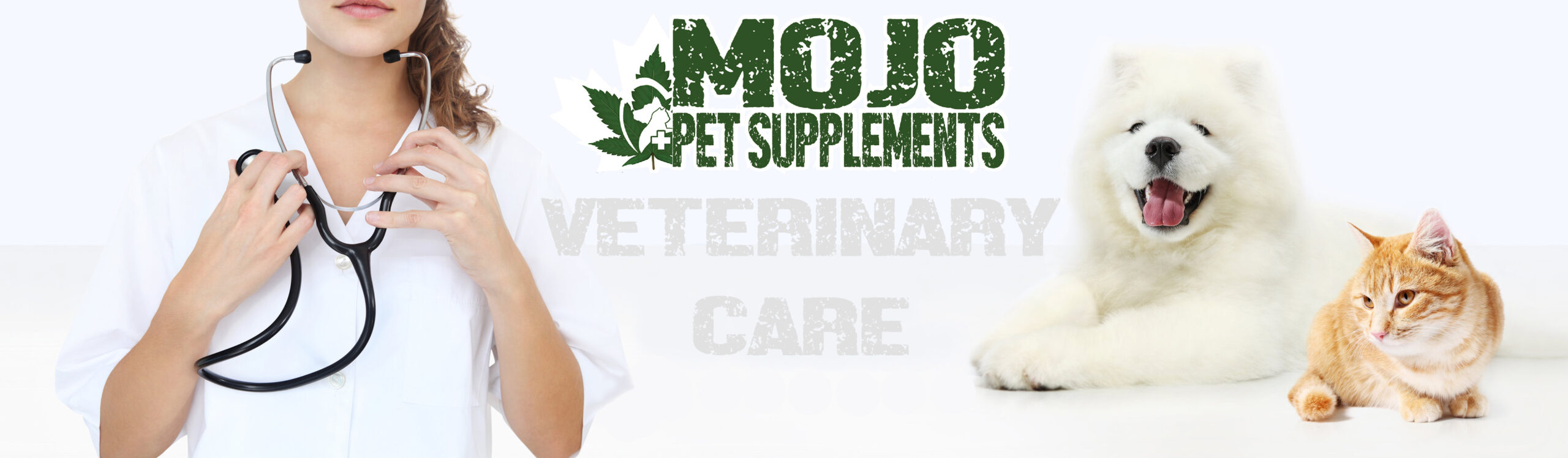 Mojo pet hot sale supplements